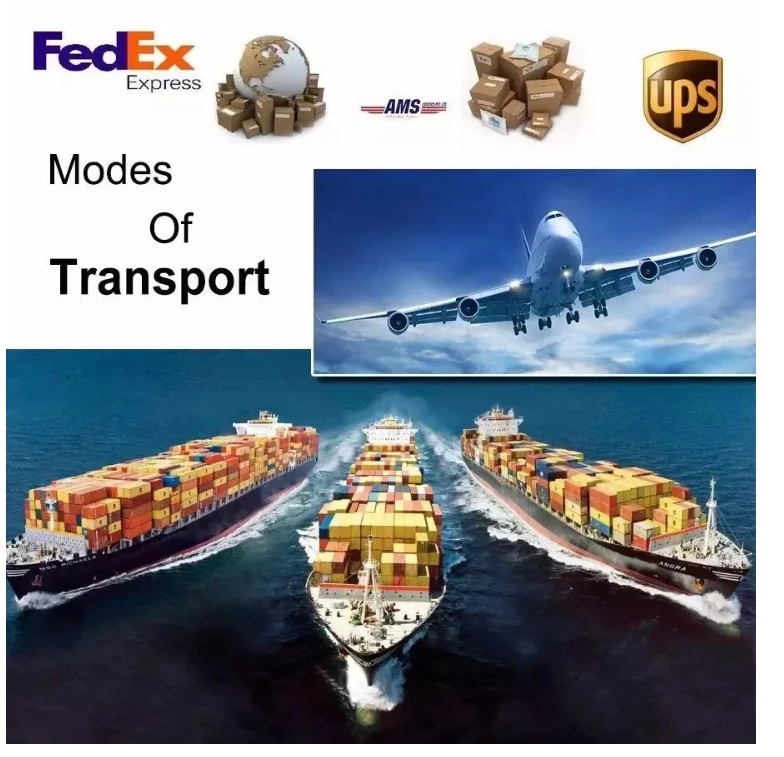 transport transport